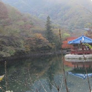 韓屋村海苔飯卷