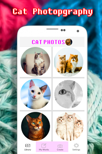 Cat Photography Coloring Book - Color By Number - v4.0