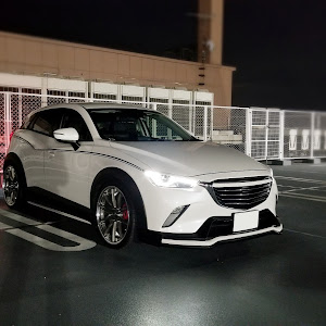 CX-3 DKEFW