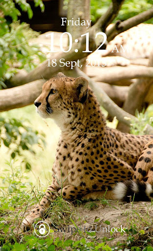 Cheetah Keypad Lock Screen