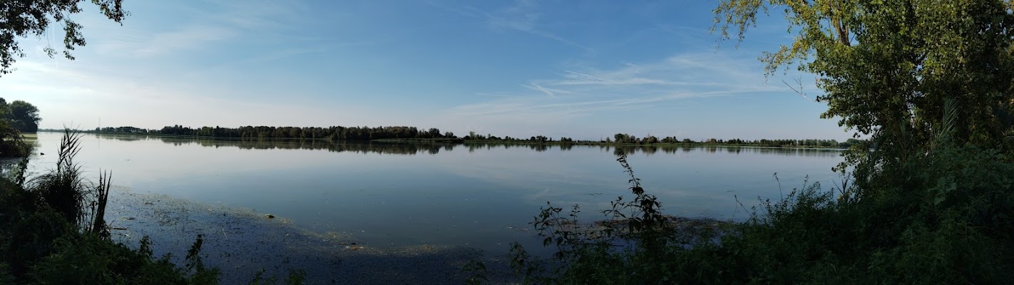  Lago di Mantova  di Terry82