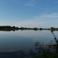  Lago di Mantova  di 