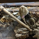 Somme 1916 Museum in Albert, France in Amiens, France 