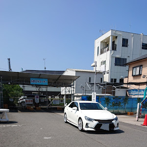 マークX GRX130系