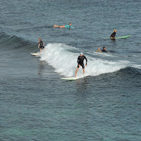 Surf....a primavera di 