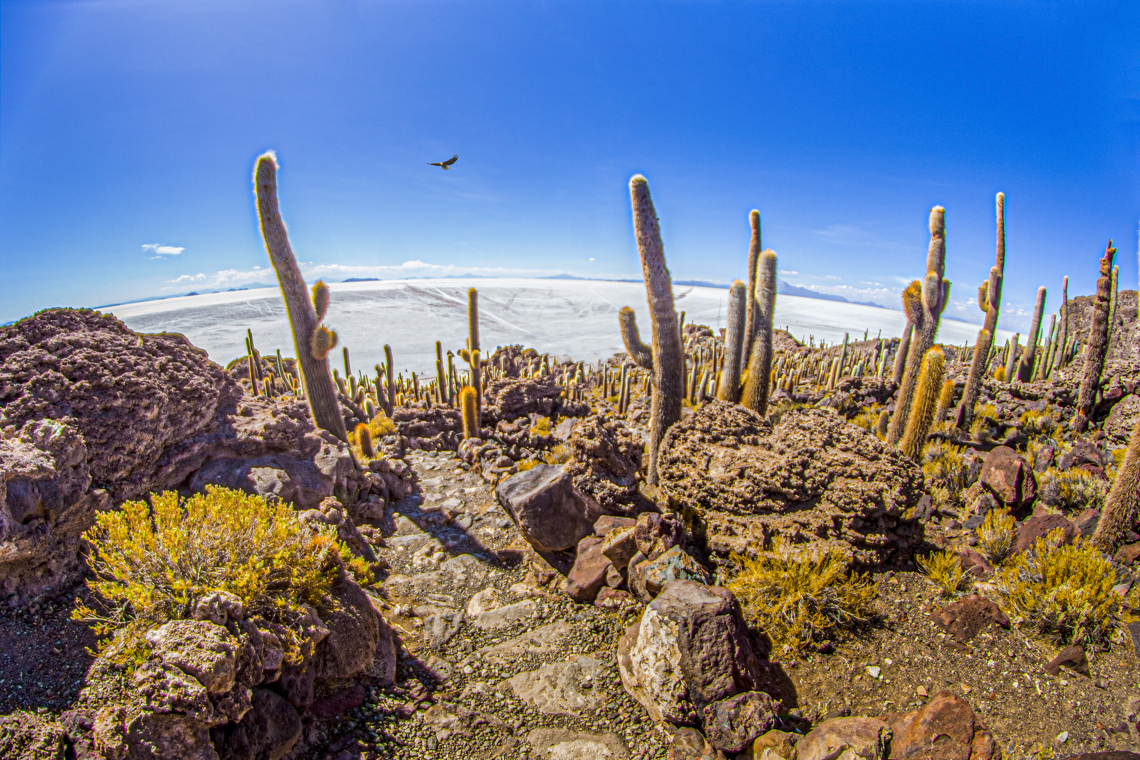 Bolivia di AdrianoPerelli