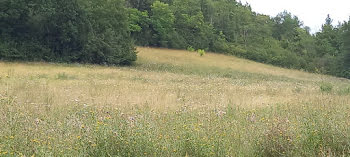 terrain à Les Salles-de-Castillon (33)