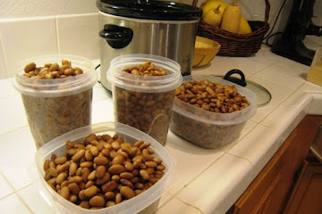 Homemade Pinto Beans