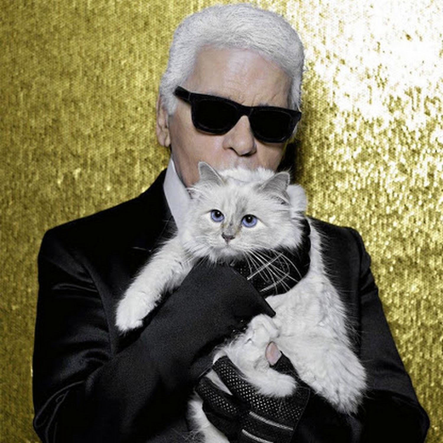 Karl Lagerfeld: Servant of the more famous Choupette