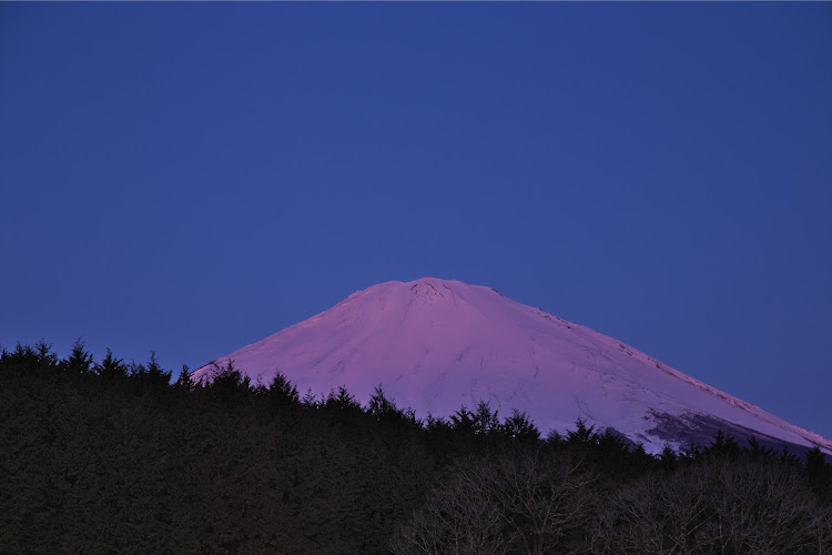 の投稿画像3枚目