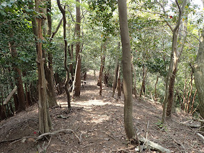 変化のない緩い尾根が続く