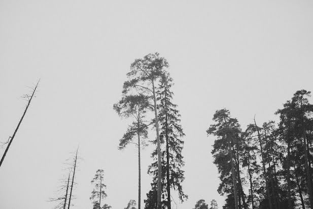 Весільний фотограф Александр Муравьёв (alexmuravey). Фотографія від 17 березня 2017