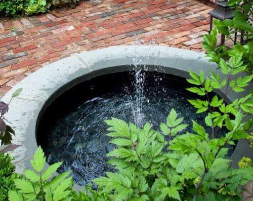 Fish Pond Design
