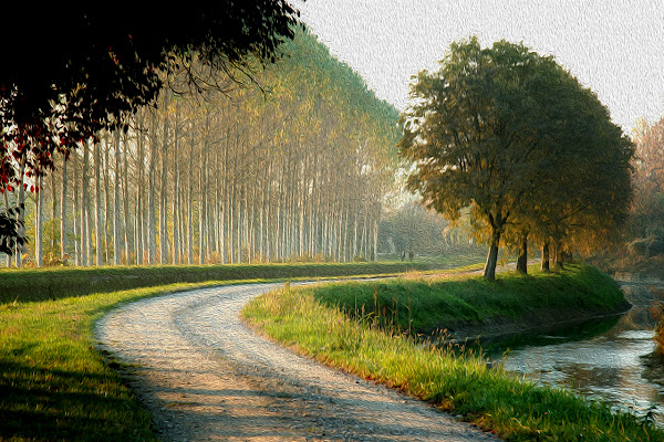 sentiero tra i campi di alber52