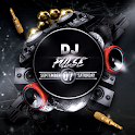 DJ Pulse icon