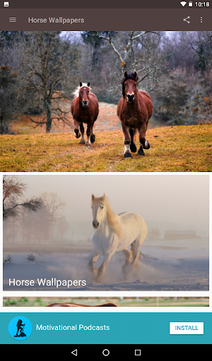 Beautiful Horse Wallpapers
