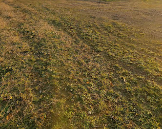 terrain à La Haie-Fouassière (44)