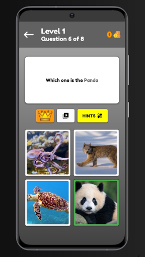 Screenshot Animals Quiz