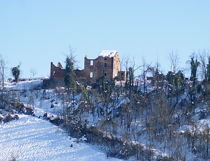 TRA LA NEVE  di paolod