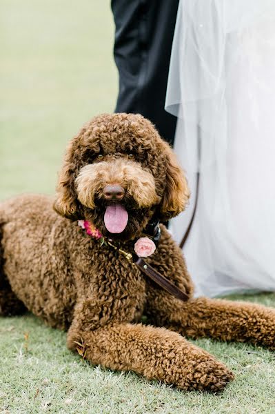 Wedding photographer Caroline Benusa (carolinelima). Photo of 3 April 2019