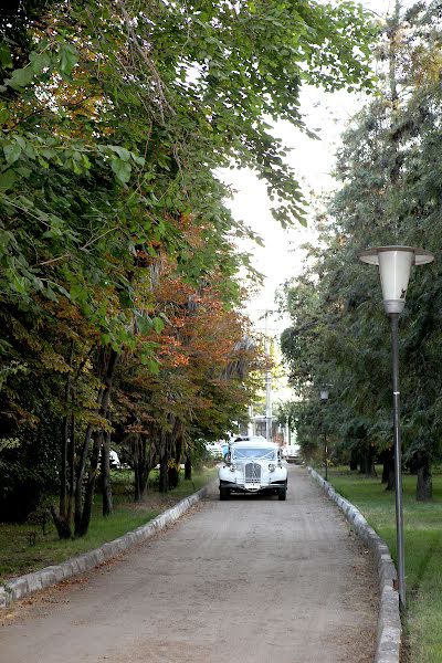 Vestuvių fotografas Raul Maureira (maureira). Nuotrauka 2015 balandžio 27