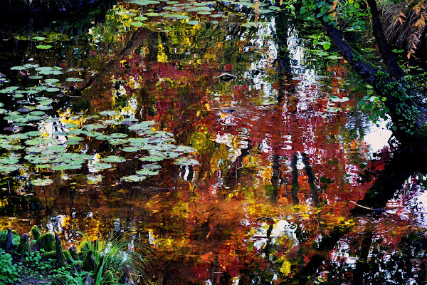 Tavolaozza Autunnale di NinoZx21