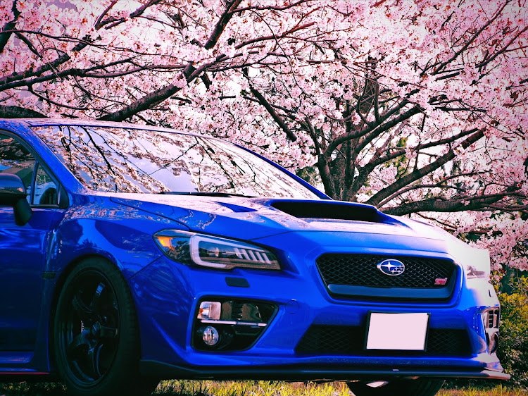 WRX STIのWRX STI・#スバル・桜とコラボ🌸・ドライブに関するカスタム事例の投稿画像1枚目