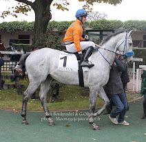 Prix Lutteur III 2015 (St., L., Auteuil) 22-03 : Amirande WWldjVU80-AMLIDeTkgStzVzLRqWzLuHb3316Lm3-ft7=w212-h207-p-no