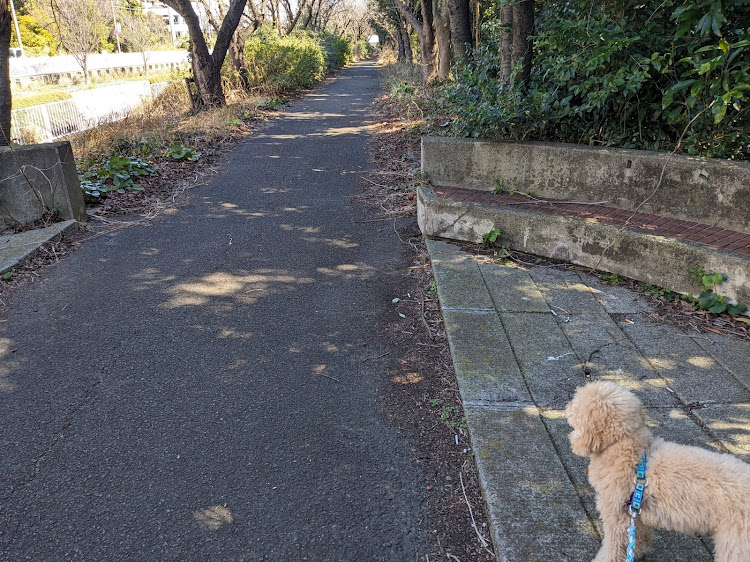エブリイワゴンの石川、能登方面地震お見舞い申し上げます・花粉まみれ・洗車・お散歩ドライブ・Costcoに関するカスタム事例の投稿画像6枚目