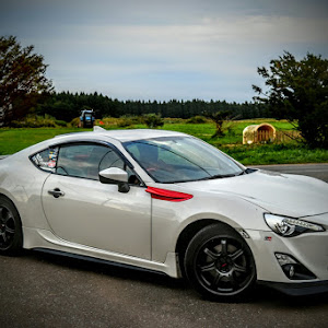 86 ZN6