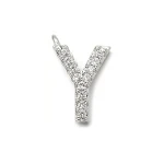 Platinum Large Letter Y