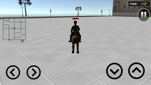 Police Horse Chase Crime City