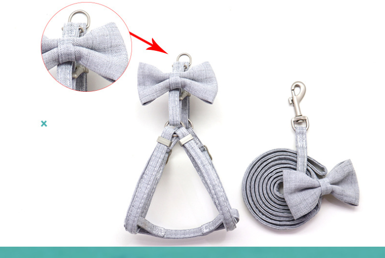 Traktionsleine für kleine und mittelgroße Hunde. Bessere Kontrolle, mehr Sicherheit beim Gassi gehen. Bequemes, strapazierfähiges Design für Ihren Hund.
