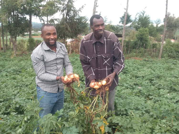 Job Mwendwa, monitoring and evaluation officer, and vice chairman Ezekiel Kirui,both from Starlight Cooperative Farmers Society in Jogoo, Molo in Nakuru. The cooperative is doing seed multiplication and selling certified seeds to the farmers.