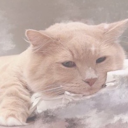 こゆき-恋雪-