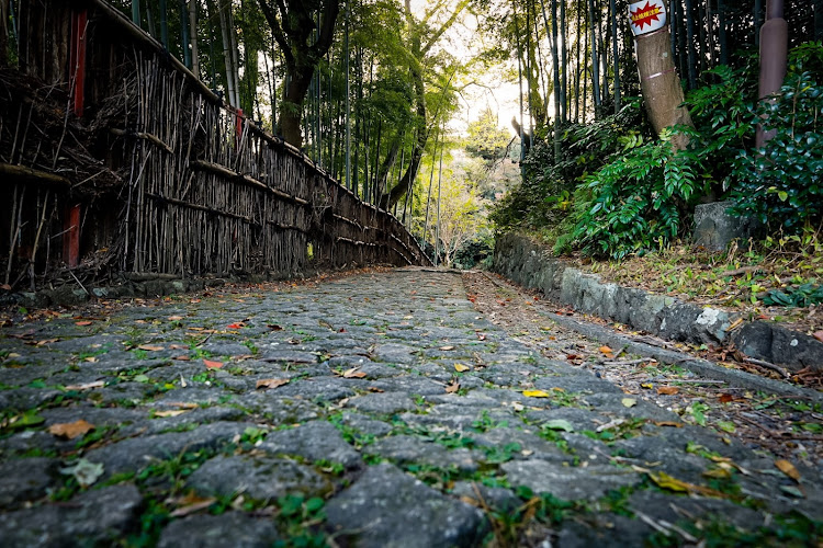 の投稿画像4枚目