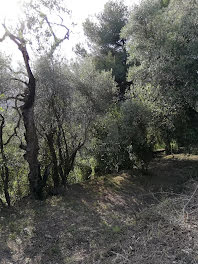 terrain à batir à Castellar (06)