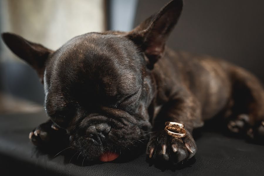 Svatební fotograf Bruno Bono (bonobruno). Fotografie z 24.května 2019