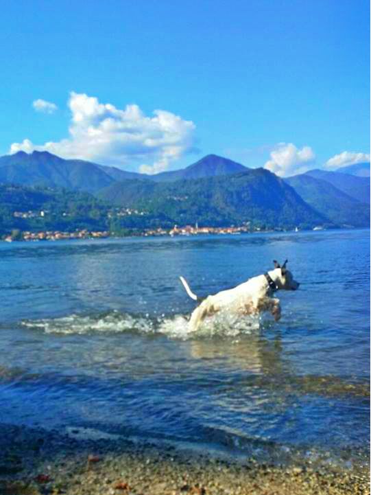 saltando nell'acqua di Danii.