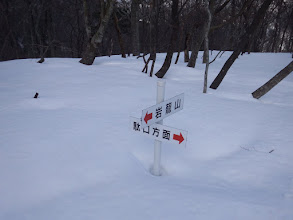 分岐には道標が多く