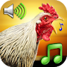 Funny Alarm Clock Ringtones icon