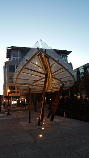 Tanner Springs Rainwater Pavillion