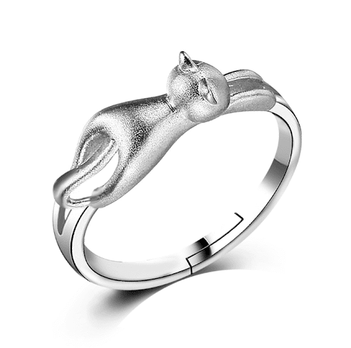 Scrub ring