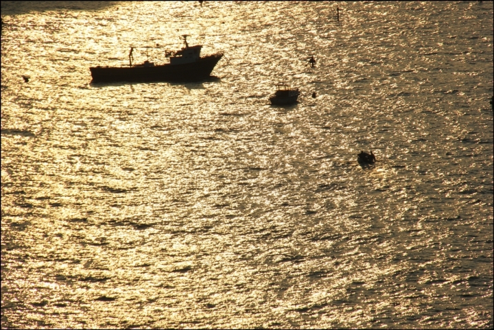 IL MARE D'ORO di gian