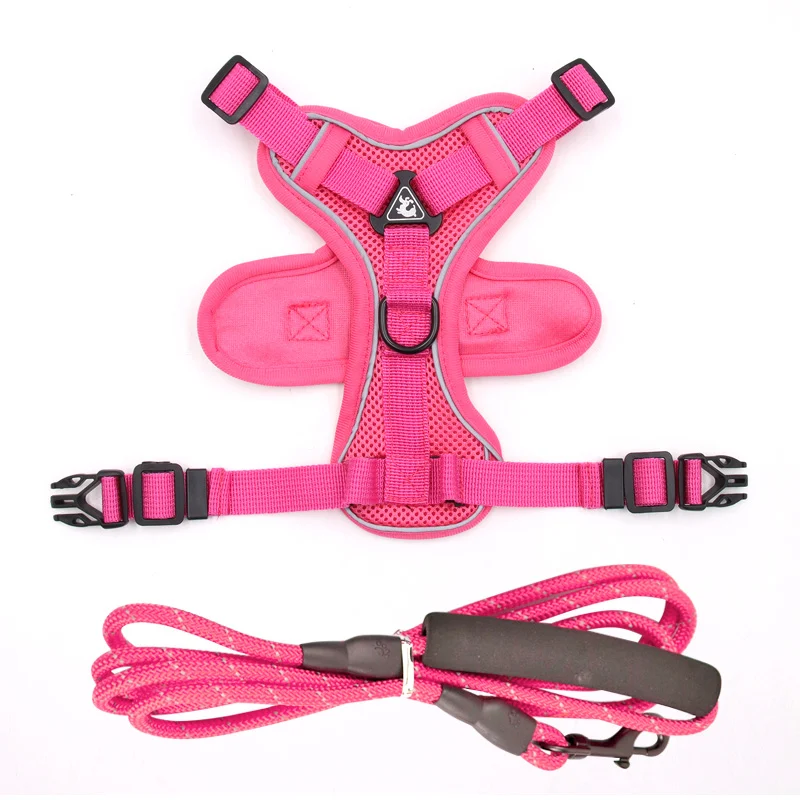 Gilet avec laisse pour chiens, style harnais, chaîne pour animaux, contrôle et sécurité. Promenades confortables et sans à-coups.