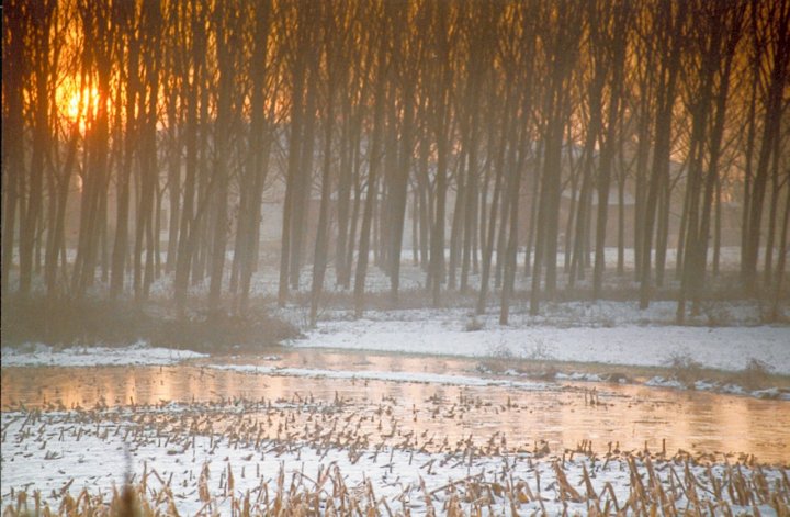 Alba invernale di Gamberino