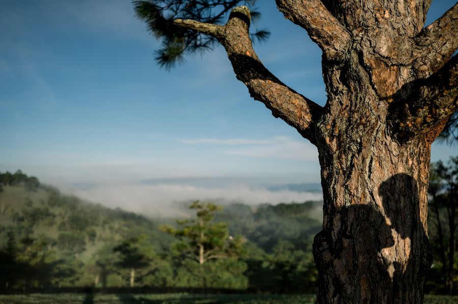 Fotografer pernikahan Nien Truong (nientruong3005). Foto tanggal 27 Agustus 2020