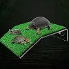 miniatures image - 5