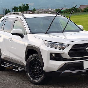 RAV4 MXAA54