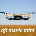 dji mavic mini guide icon